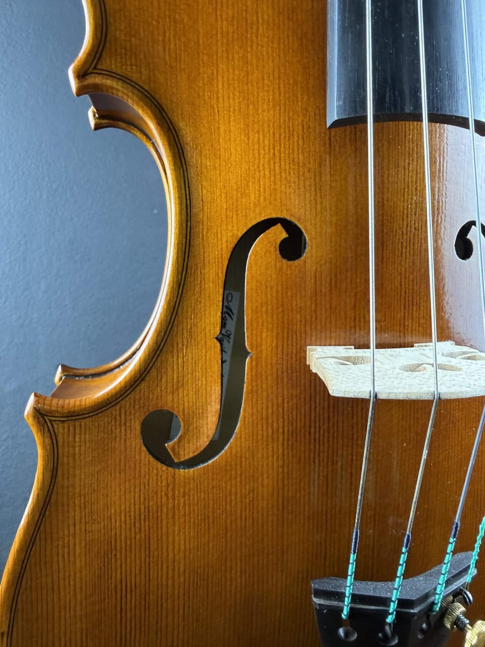 Vioară de maestru №294 — Nicolo Amati 1666 — fotografie 3
