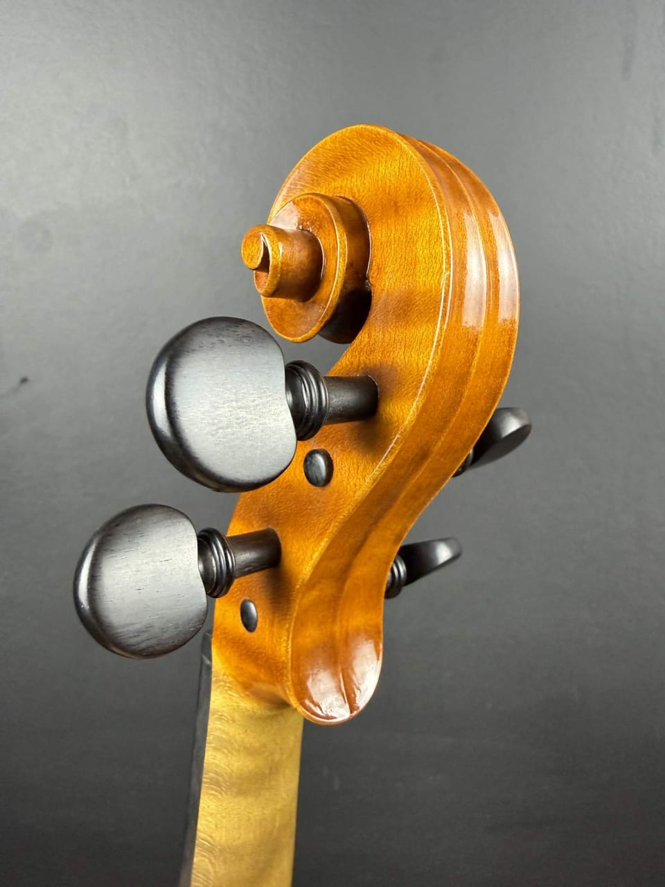 Vioară de maestru №294 — Nicolo Amati 1666 — fotografie 7