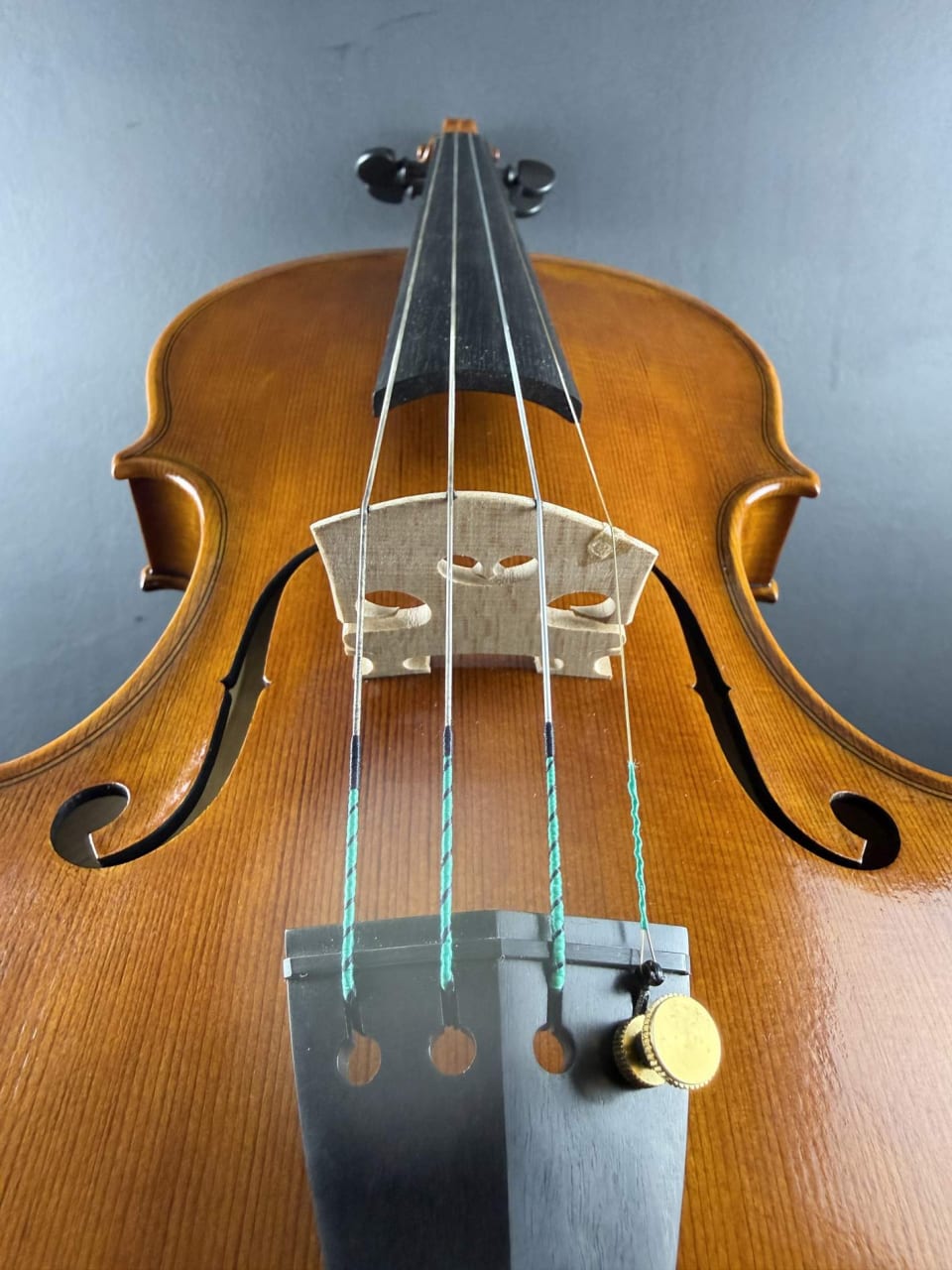 Vioară de maestru №294 — Nicolo Amati 1666 — fotografie 9