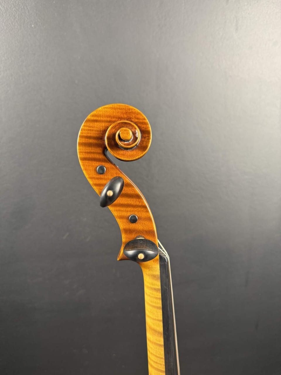 Violă de maestru №131 — Model Guarneri — fotografie 16