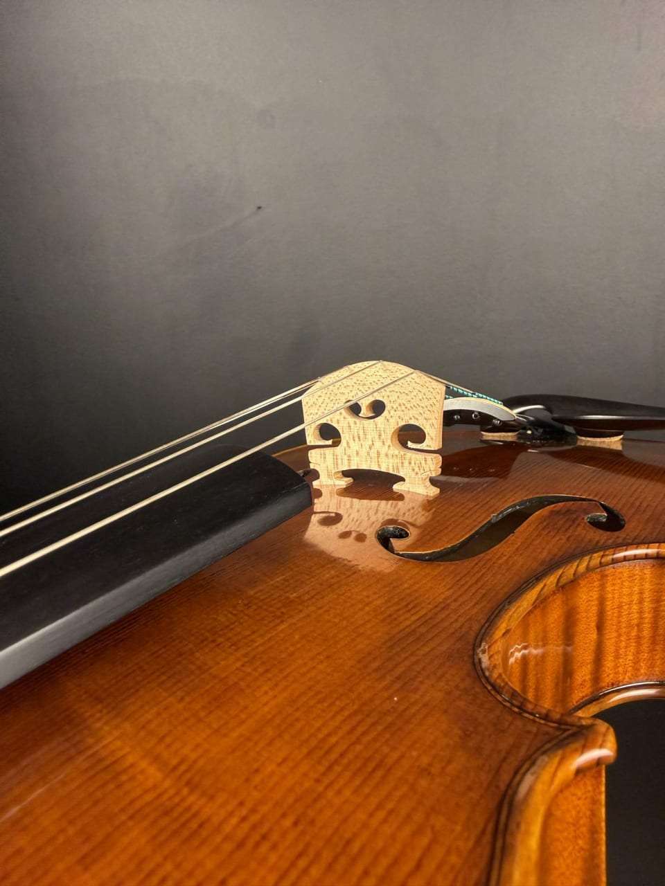 Violă de maestru №131 — Model Guarneri — fotografie 7