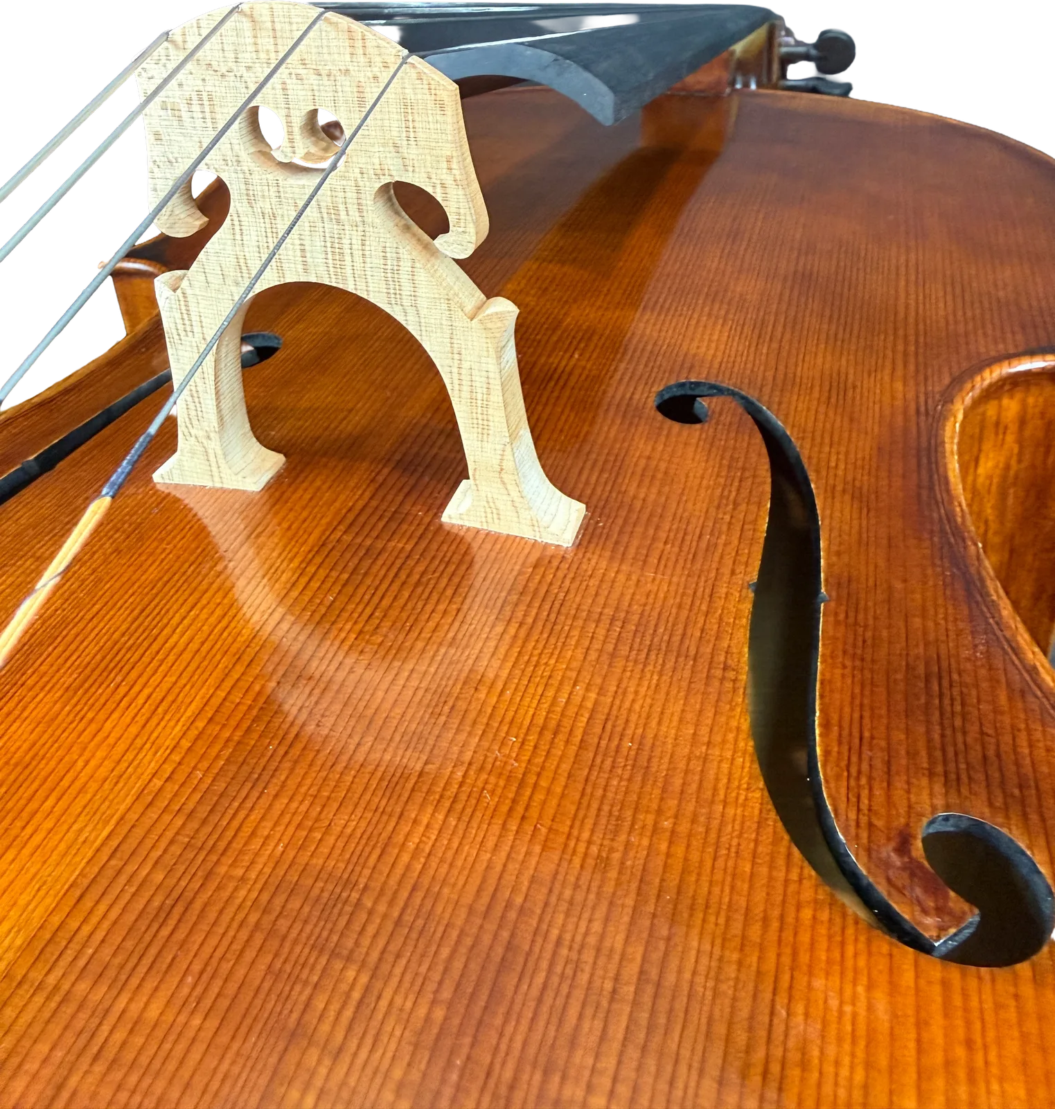 Violoncel de maestru №6 — Model Montagnana — fotografie 10