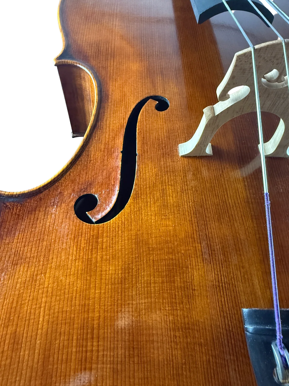 Violoncel de maestru №6 — Model Montagnana — fotografie 11