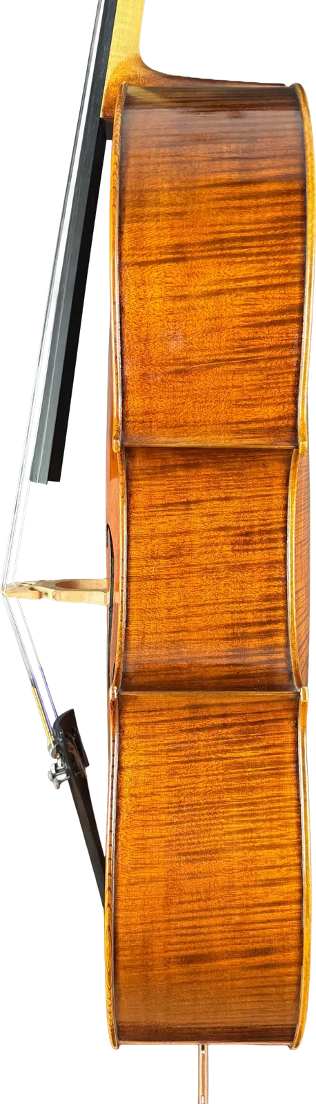Violoncel de maestru №6 — Model Montagnana — fotografie 3