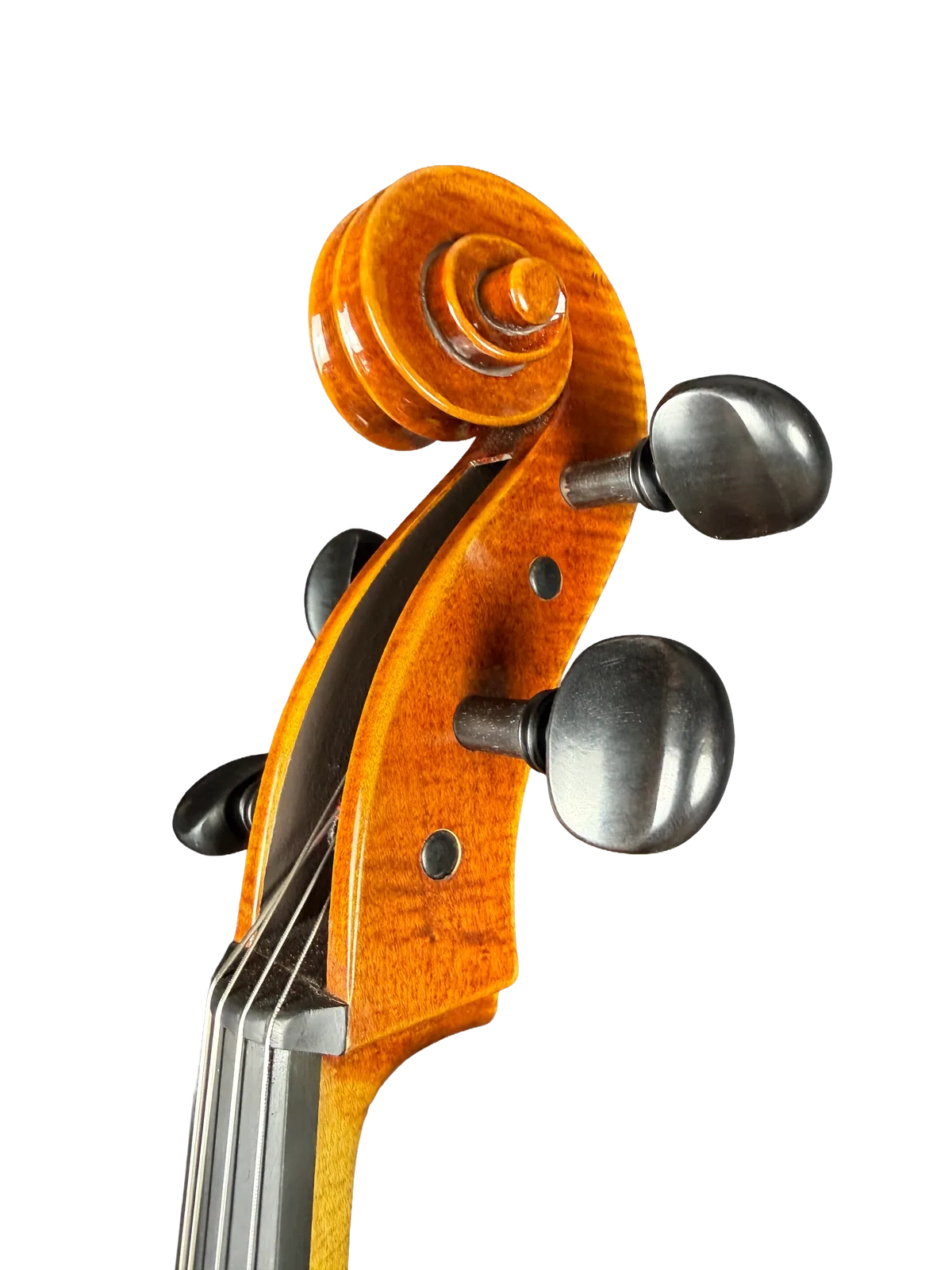 Violoncel de maestru №7 — Model Gagliano — fotografie 10