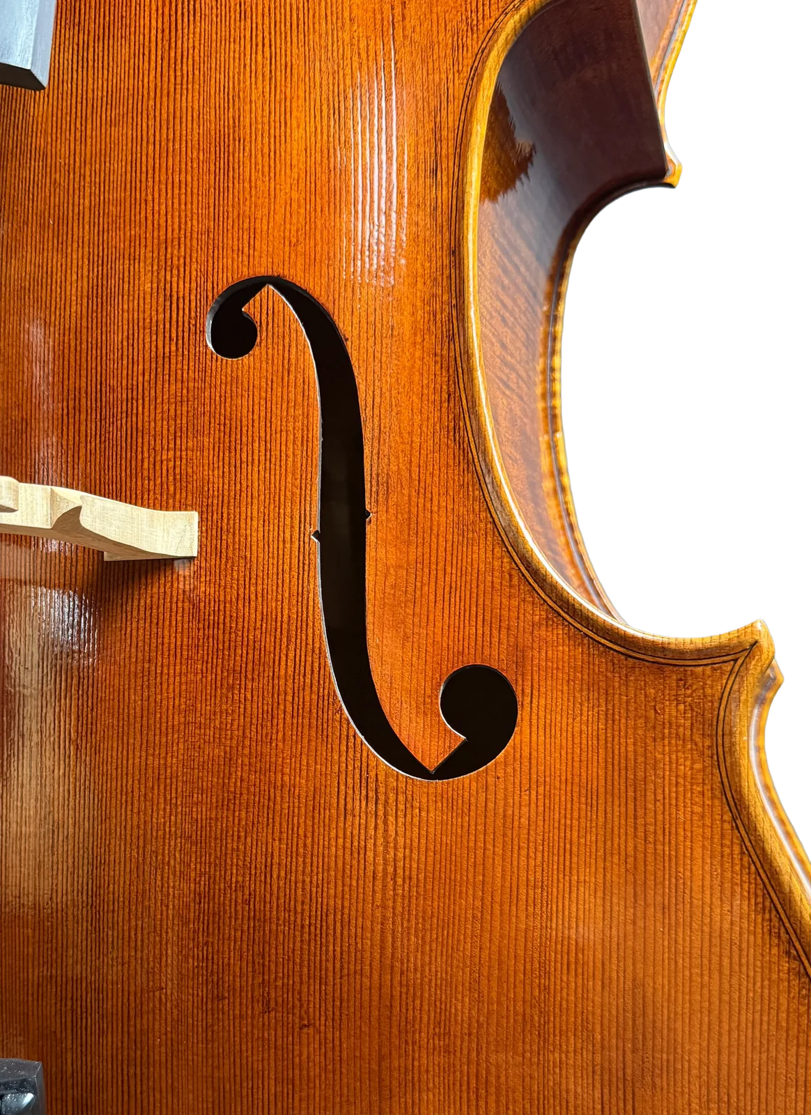 Violoncel de maestru №7 — Model Gagliano — fotografie 6