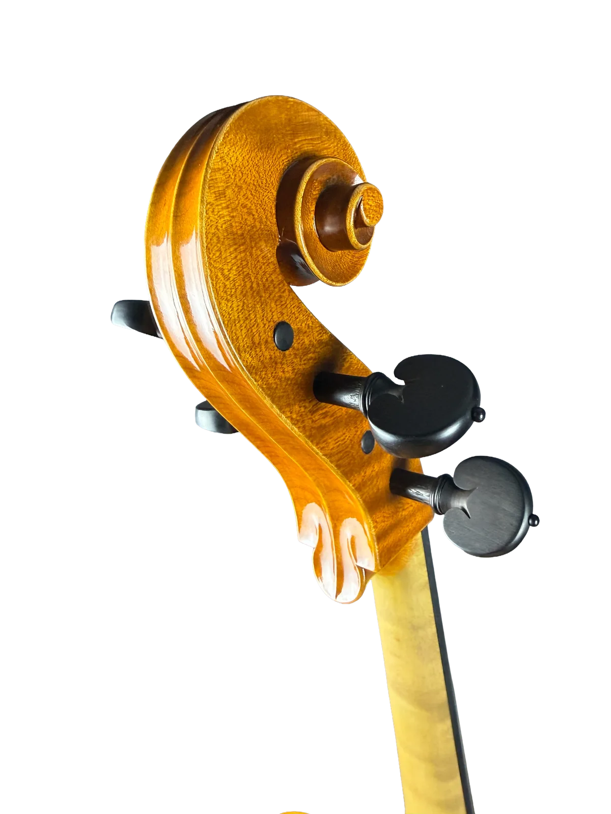 Violoncel de maestru №8 — Model Gofriller — fotografie 10