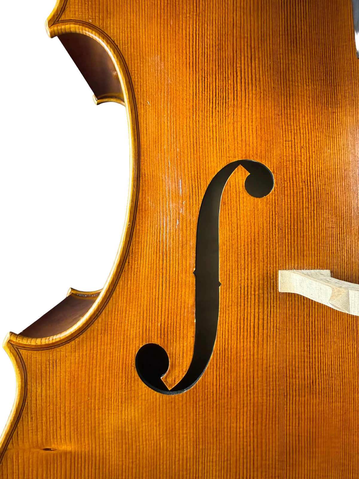 Violoncel de maestru №8 — Model Gofriller — fotografie 11