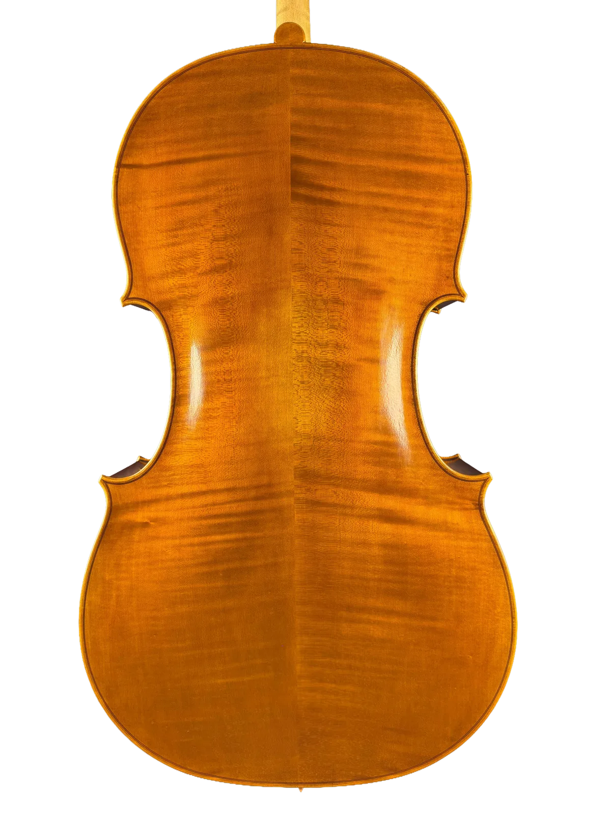 Violoncel de maestru №8 — Model Gofriller — fotografie 2