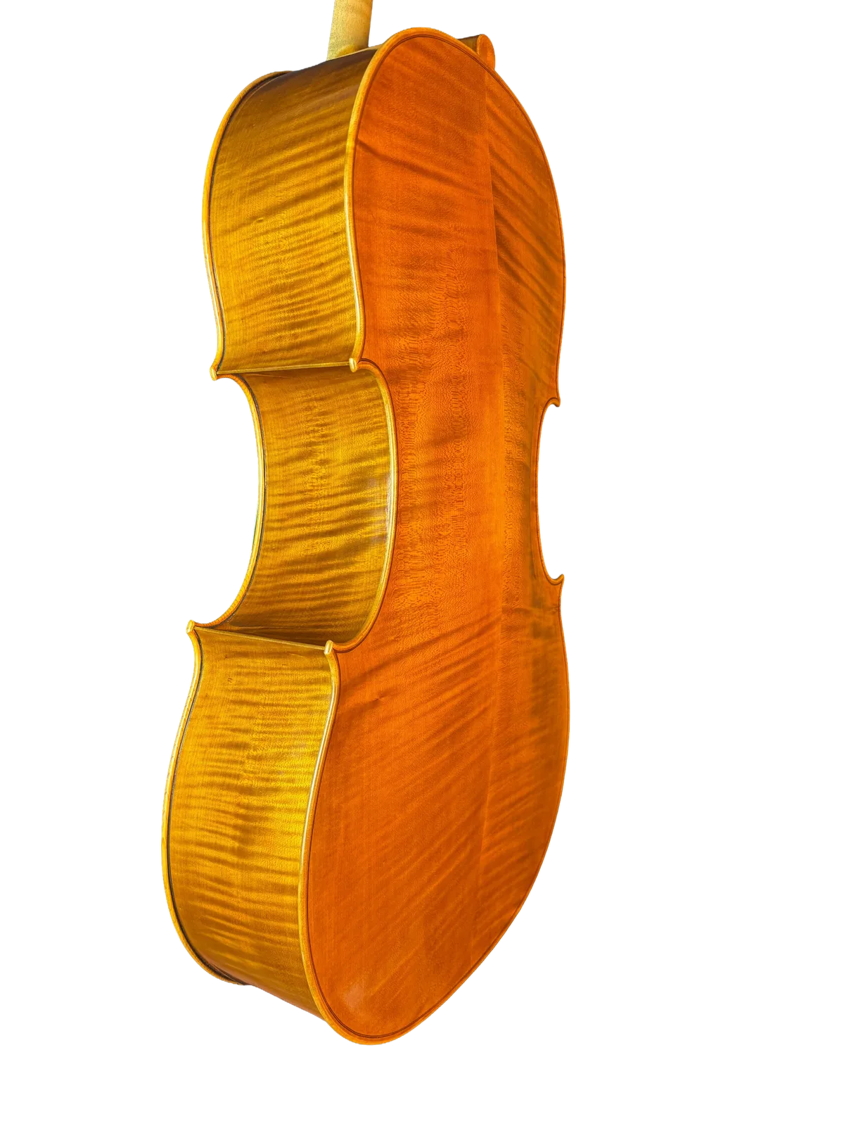 Violoncel de maestru №8 — Model Gofriller — fotografie 3