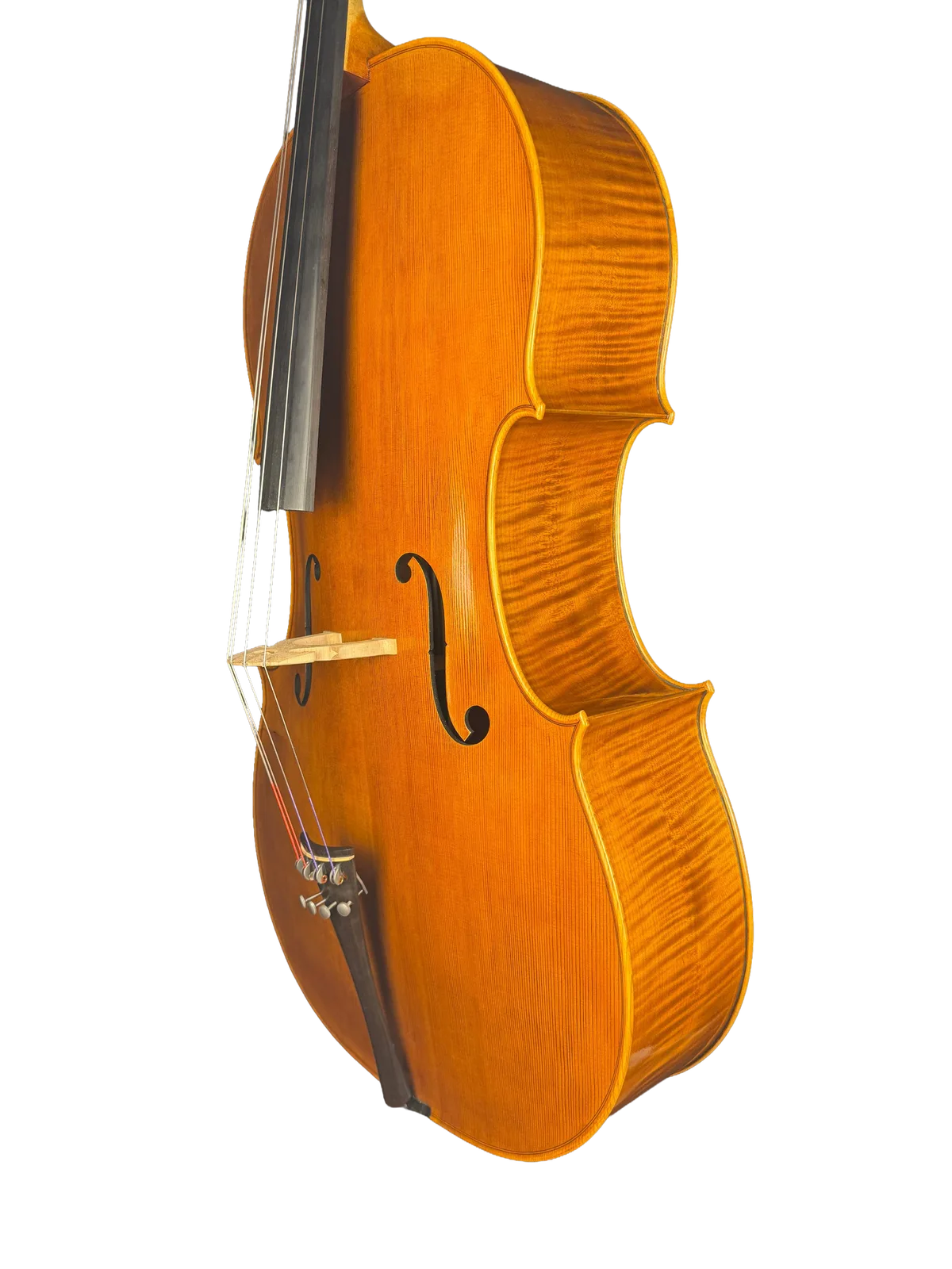 Violoncel de maestru №8 — Model Gofriller — fotografie 4