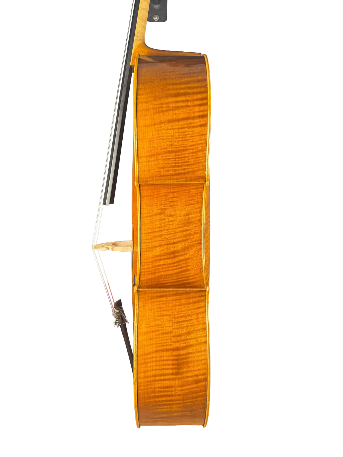 Violoncel de maestru №8 — Model Gofriller — fotografie 6