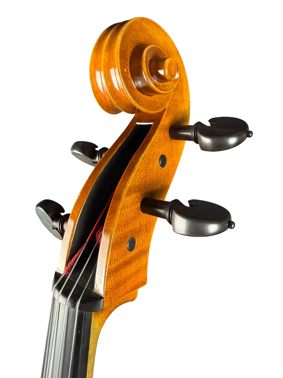 Violoncel de maestru №8 — Model Gofriller — fotografie 9