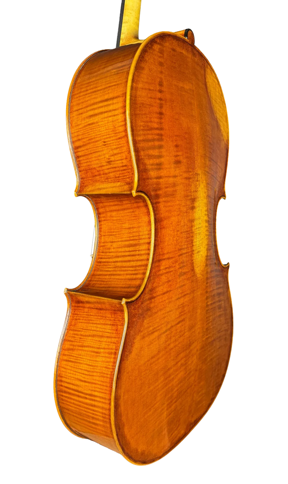 Violoncel de maestru №69 — Model Montagnana — fotografie 4