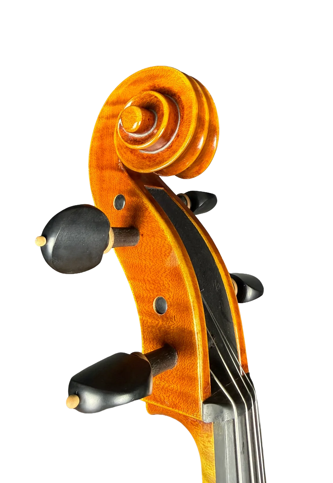 Violoncel de maestru №69 — Model Montagnana — fotografie 9